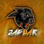 Jaguar Panel FF